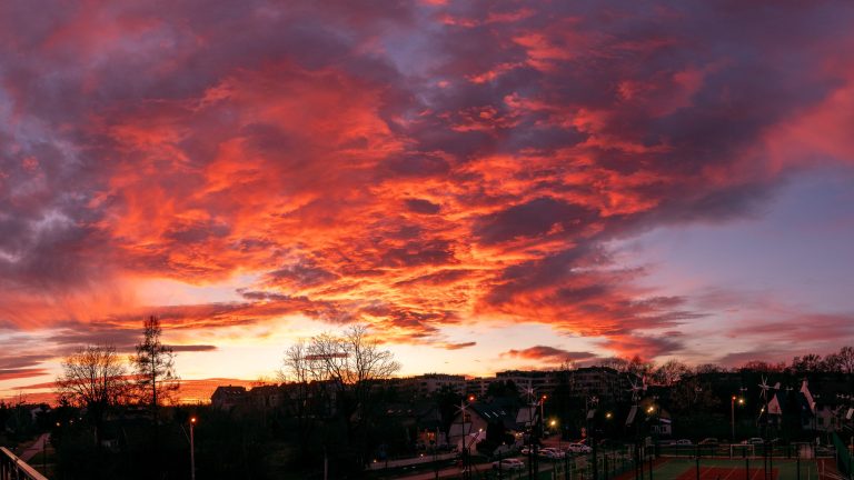 Tygodnik Damiana – 23 grudnia